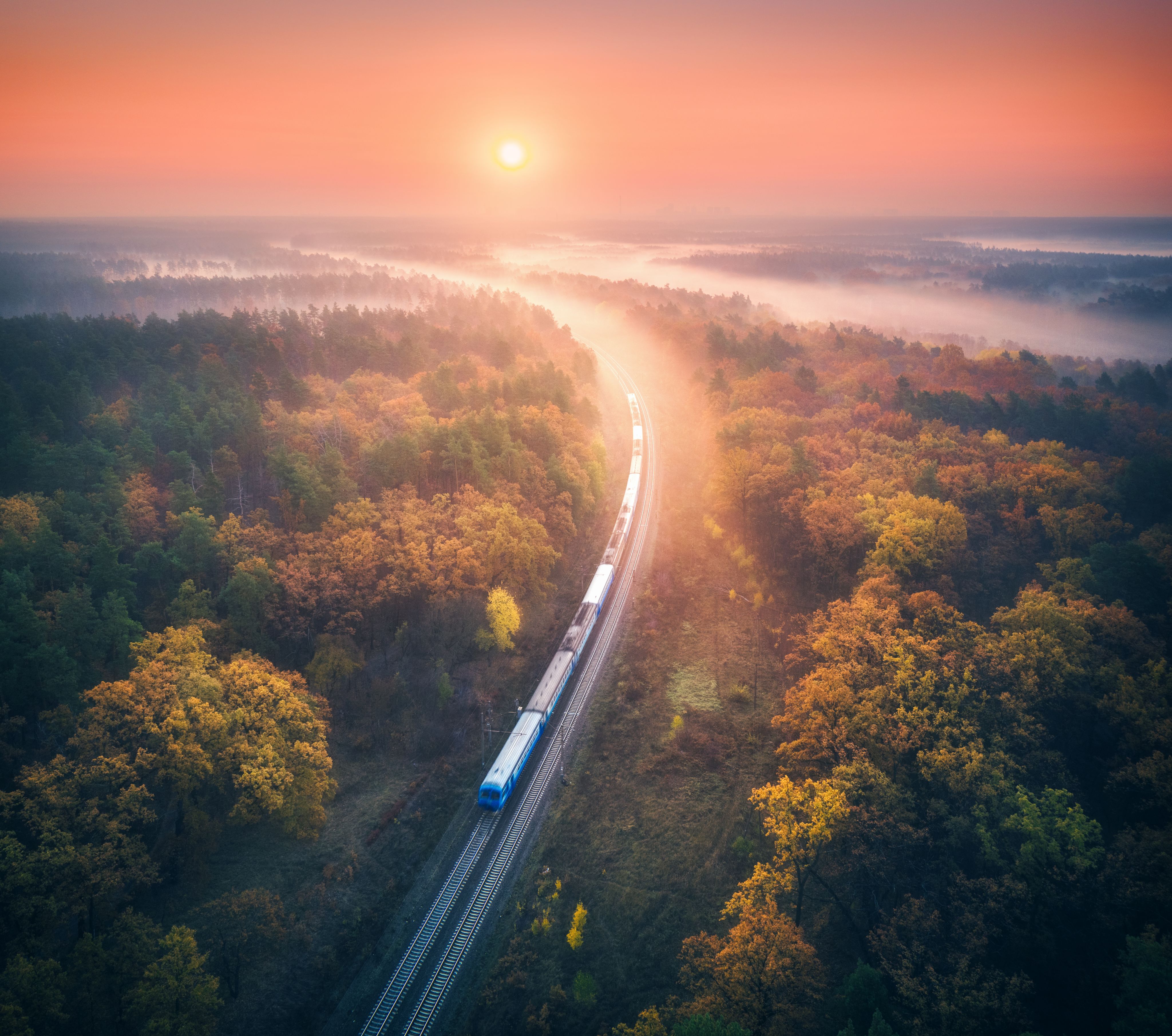 a train traveling over a bridge next to a forest